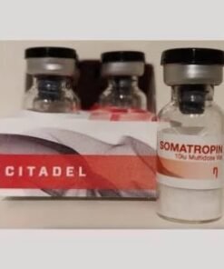 Buy Citadel Somatropin 10iu Online
